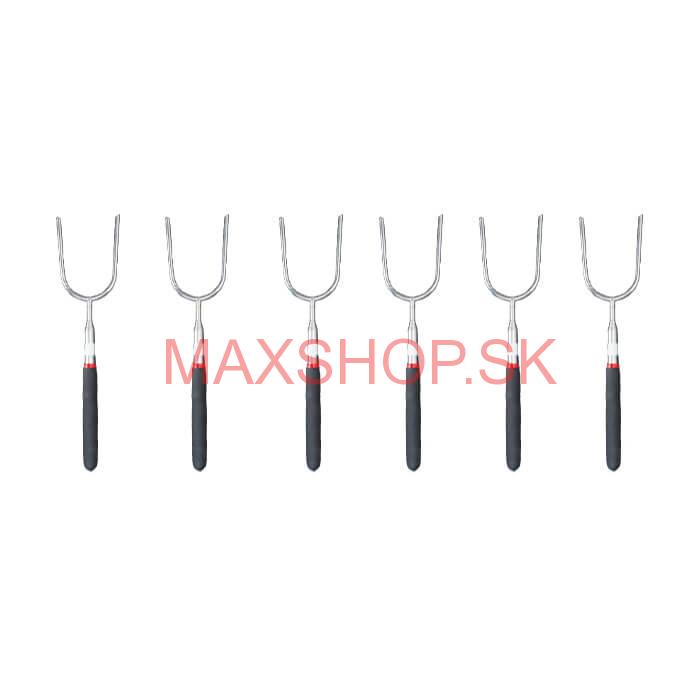 Vidličky na opekanie 24,5 cm - 84,5 cm – teleskopické 6 ks
